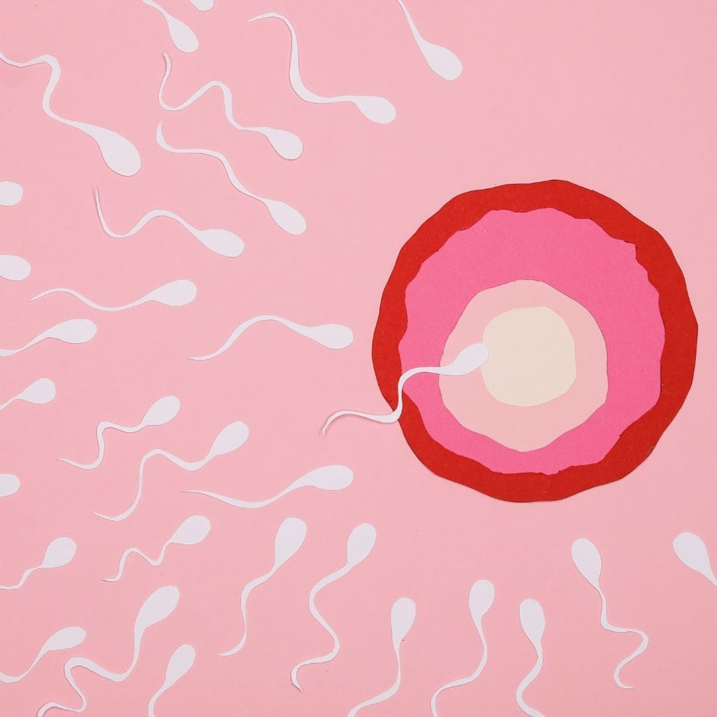 Fibroids and Conception: What You Need to Know