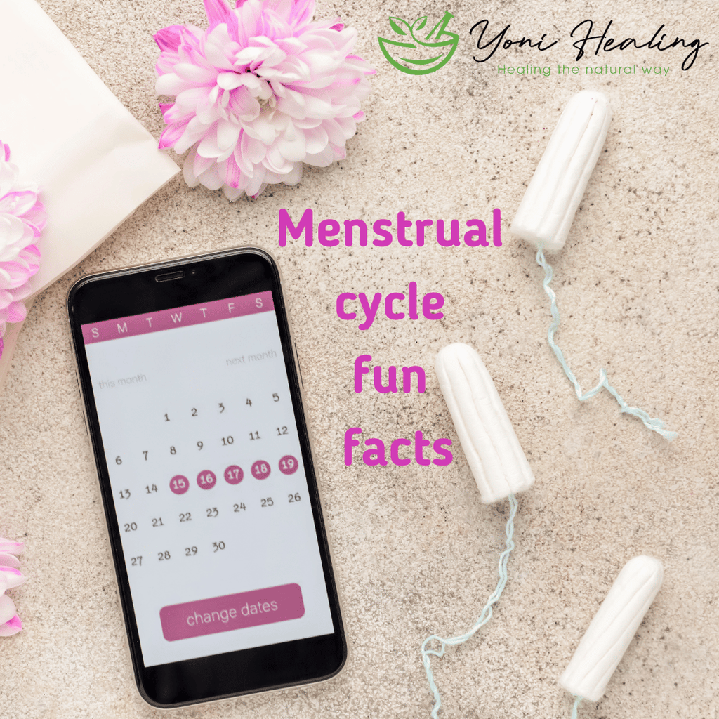 The quirky secrets and hidden superpowers of your menstrual cycle that biology class never taught you!